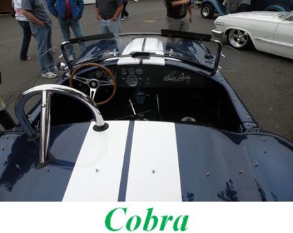 Cobras